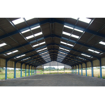 Prefabricated Steel Frame Structure Buildings Prefab Workshops Din Standard